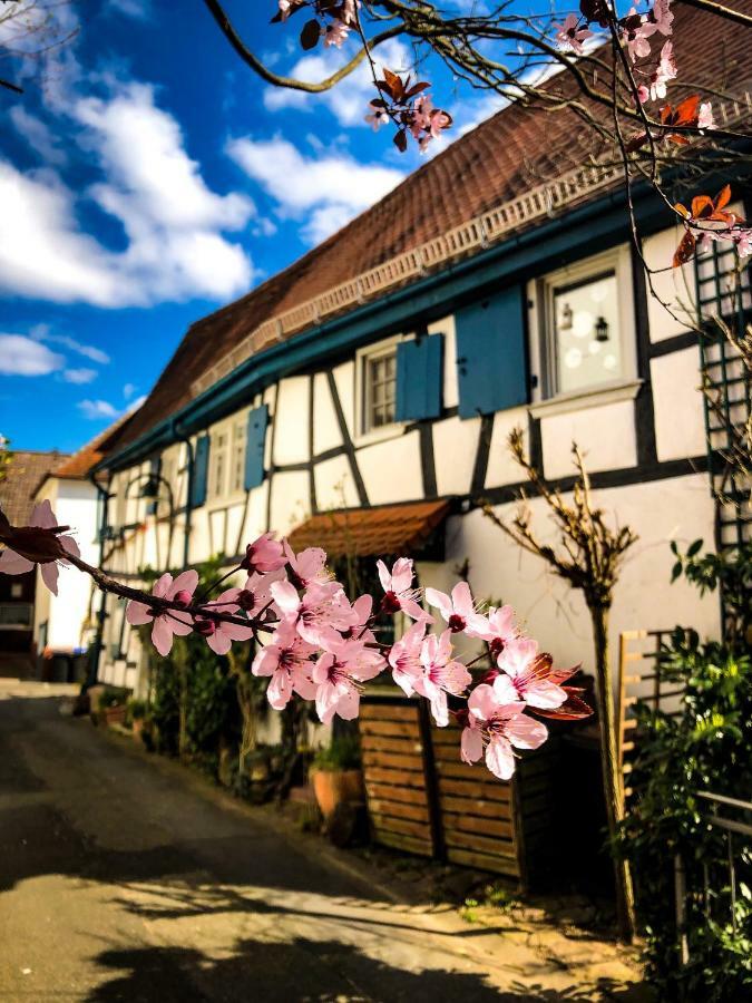 Hexenhaeuschen Dreieichenhain *